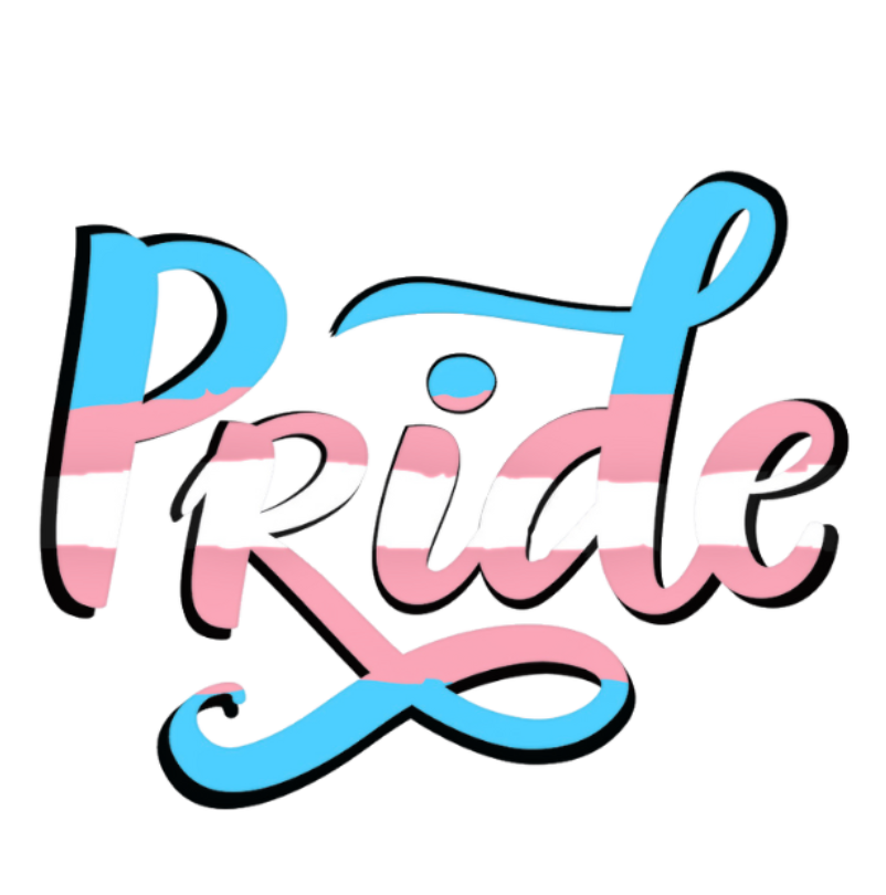 Trans-Pride-Logo Trans Pride Washington DC Logo